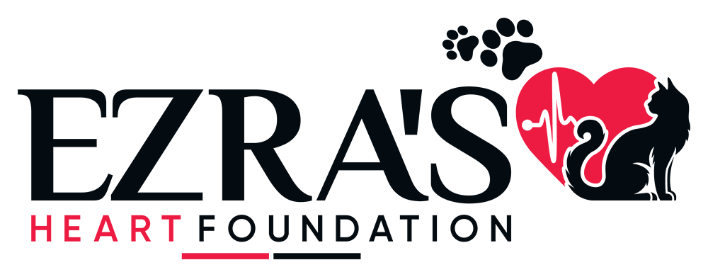 Ezra's Heart Foundation Logo